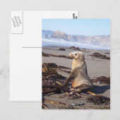 California Red Seal Briefkaart (Voorkant / Achterkant)