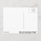 California Red Seal Briefkaart (Achterkant)