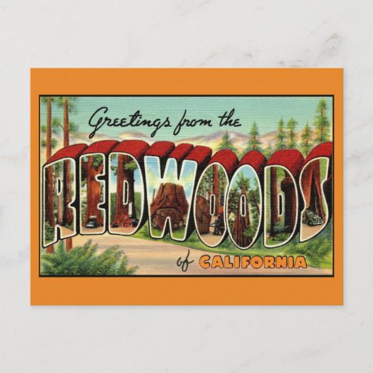 California Redwood  Greeting Briefkaart (Voorkant)