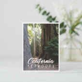 California Redwood Post Card Briefkaart (Staand voorkant)