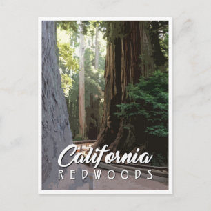 California Redwood Post Card Briefkaart