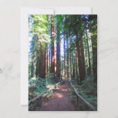 California Redwood Trail Ontwerp Save The Date (Voorkant)