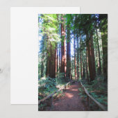 California Redwood Trail Ontwerp Save The Date (Voorkant / Achterkant)