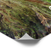 California Redwood Trees kunst prints Big Redwood (Hoek)