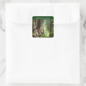 California Redwood Trees stickers (Tas)