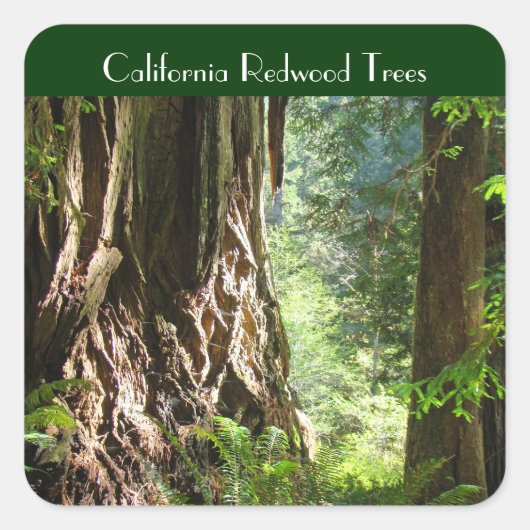 California Redwood Trees stickers (Voorkant)