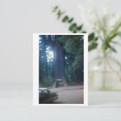 California Redwood Vintage Car Briefkaart (Staand voorkant)