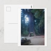 California Redwood Vintage Car Briefkaart (Voorkant / Achterkant)