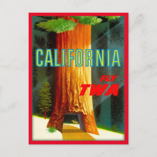 California Redwood vintage-reis Briefkaart