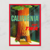 California Redwood vintage-reis Briefkaart (Voorkant)