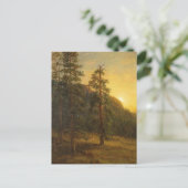 California Redwoods | Albert Bierstadt Briefkaart (Staand voorkant)
