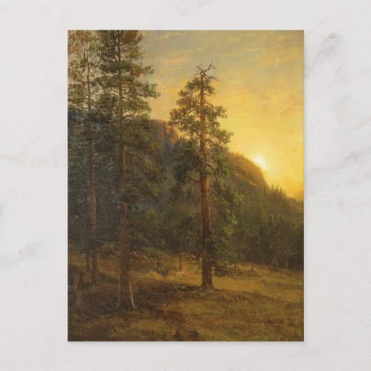 California Redwoods | Albert Bierstadt Briefkaart (Voorkant)
