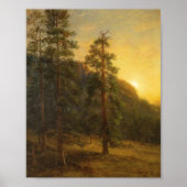California Redwoods | Albert Bierstadt Poster (Voorkant)