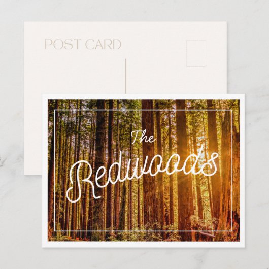 California Redwoods Foto Briefkaart (Voorkant / Achterkant)