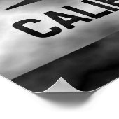 California Republic Flag Plasma Poster (Hoek)