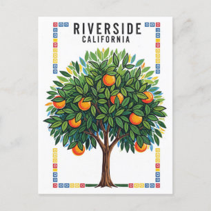 California Riverside Sinaasappel Tree Briefkaart