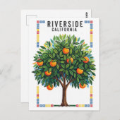 California Riverside Sinaasappel Tree Briefkaart (Voorkant / Achterkant)