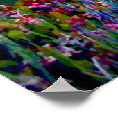 California Riviera of Laguna Beach Poster (Hoek)