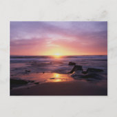 California, San Diego, Sunset Cliffs, Sunset 4 Briefkaart (Voorkant)
