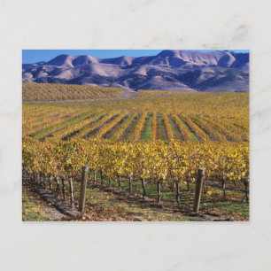 California, San Luis Obispo County, Edna Valley Briefkaart