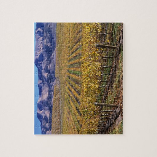 California, San Luis Obispo County, Edna Valley Legpuzzel (Verticaal)