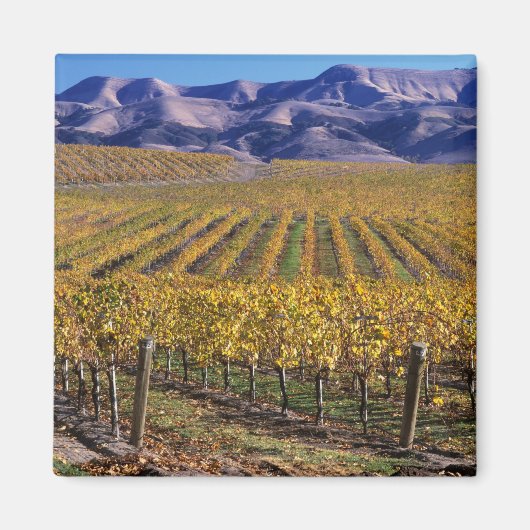 California, San Luis Obispo County, Edna Valley Magneet (Voorkant)