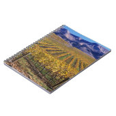 California, San Luis Obispo County, Edna Valley Notitieboek (Linkerzijde)