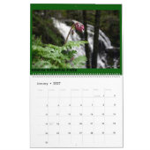 California Scenery Kalender (Jan 2027)