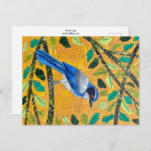 California Scrub Jay Briefkaart (Voorkant / Achterkant)