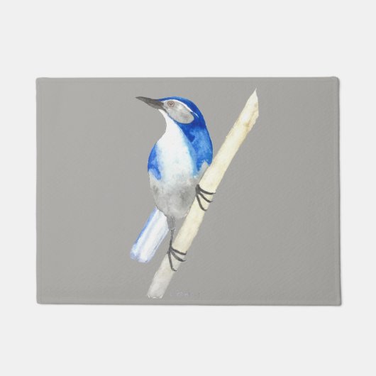California Scrub Jay Deurmat (Voorkant)