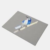 California Scrub Jay Deurmat (Schuin)