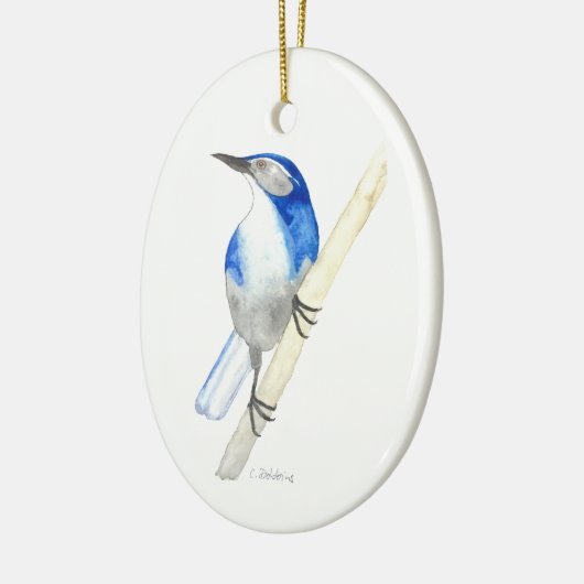 California Scrub Jay Keramisch Ornament (Links)