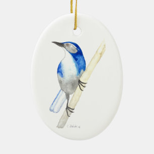 California Scrub Jay Keramisch Ornament