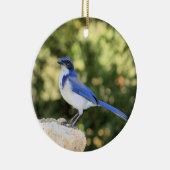 California Scrub Jay Keramisch Ornament (Rechts)