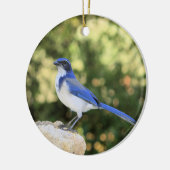 California Scrub Jay Keramisch Ornament (Links)