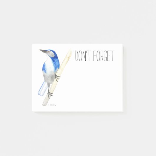 California Scrub Jay Post-it Notes (Voorkant)