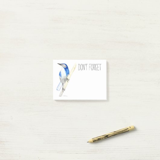 California Scrub Jay Post-it Notes (Op bureau)