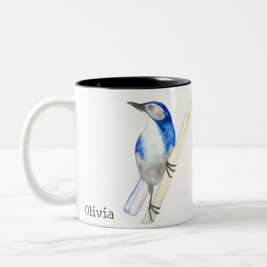 California Scrub Jay Tweekleurige Koffiemok (Links)