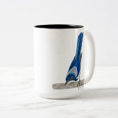 California Scrub Jay Tweekleurige Koffiemok (Voorkant rechts)