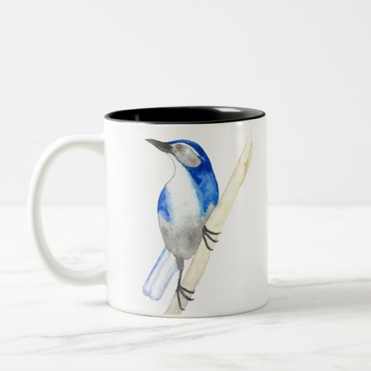 California Scrub Jay Two-Tone Coffee Mok (Links)