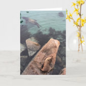 california sea life greeting card (blank inside)  kaart (Gele Bloem)