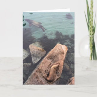 california sea life greeting card (blank inside) kaart
