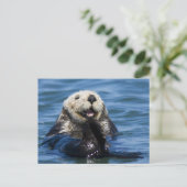California Sea Otter Enhydra lutris grooms Briefkaart (Staand voorkant)