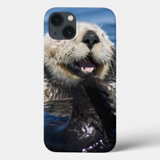 California Sea Otter Enhydra lutris grooms Case-Mate iPhone Case (Achterkant)