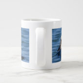 California Sea Otter Enhydra lutris grooms Grote Koffiekop (Achterkant)