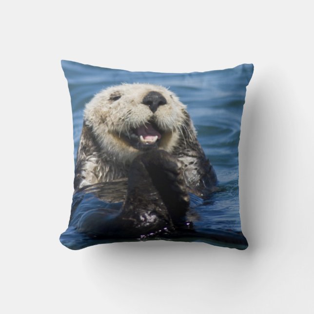 California Sea Otter Enhydra lutris grooms Kussen (Voorkant)