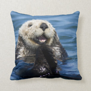 California Sea Otter Enhydra lutris grooms Kussen