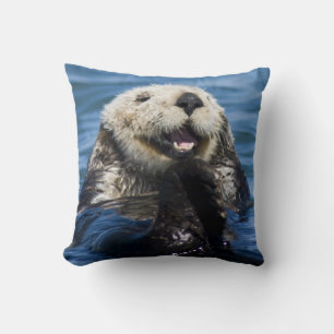 California Sea Otter Enhydra lutris grooms Kussen