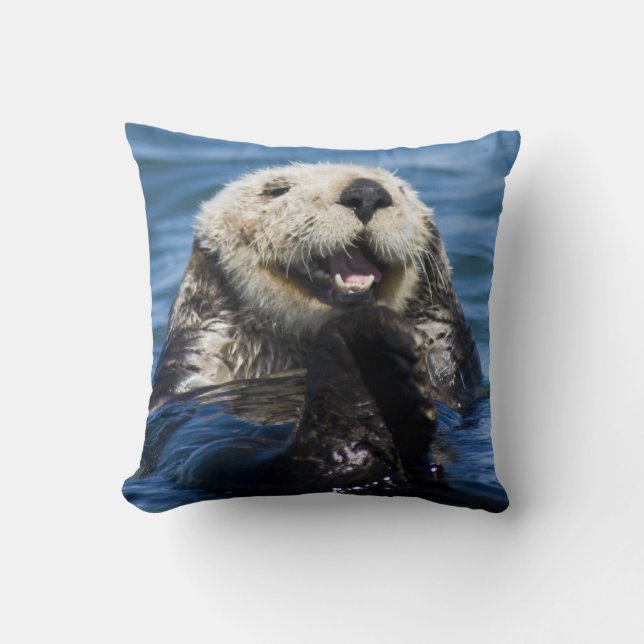 California Sea Otter Enhydra lutris grooms Kussen (Voorkant)