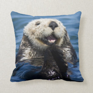California Sea Otter Enhydra lutris grooms Kussen